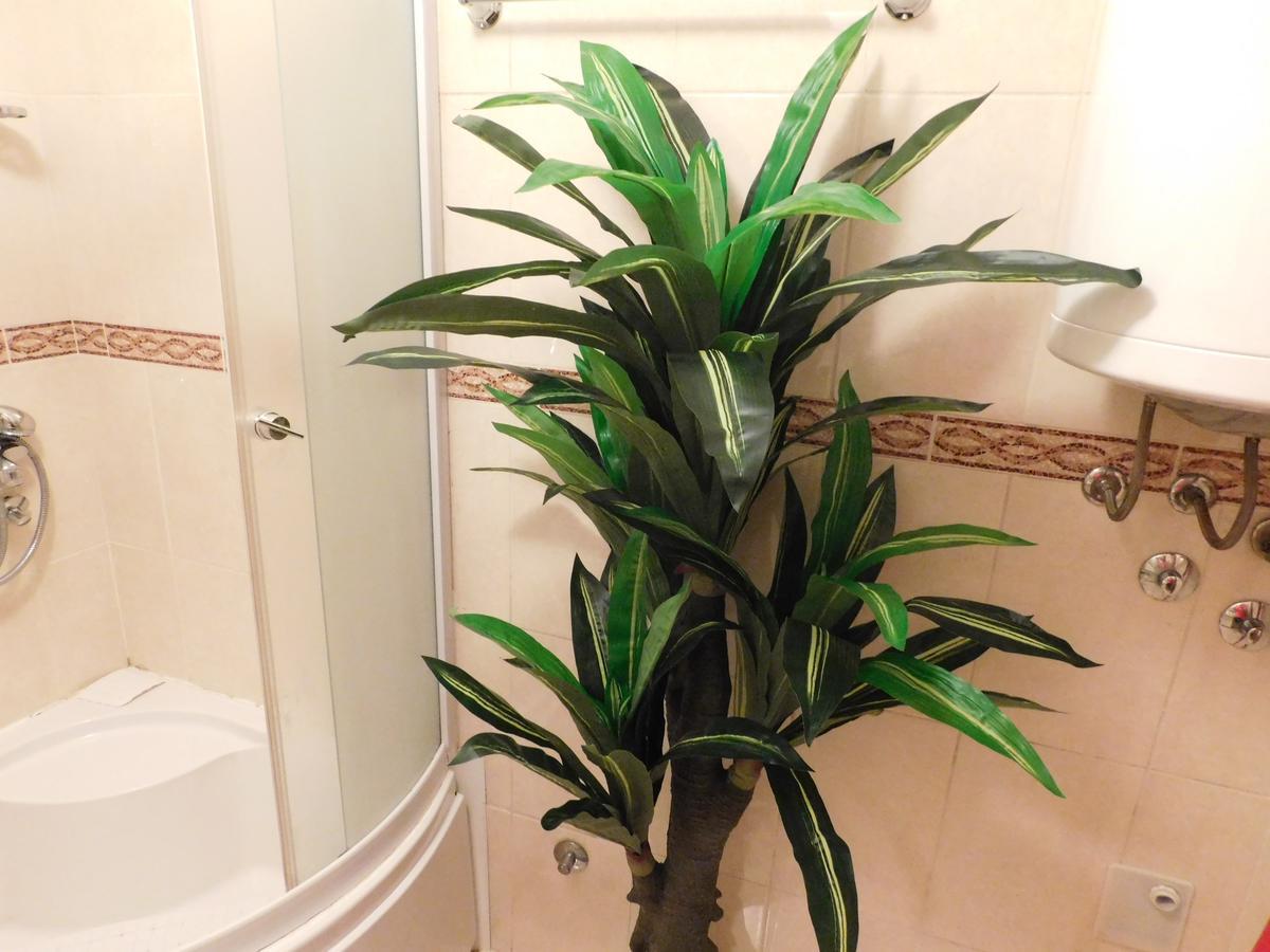 Velvet Lux Apartman Ni Kültér fotó